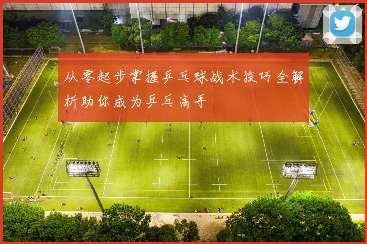 从零起步掌握乒乓球战术技巧全解析助你成为乒乓高手