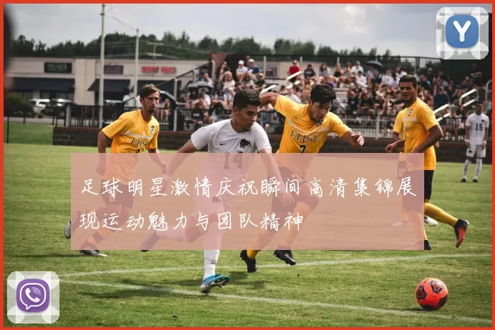 足球明星激情庆祝瞬间高清集锦展现运动魅力与团队精神