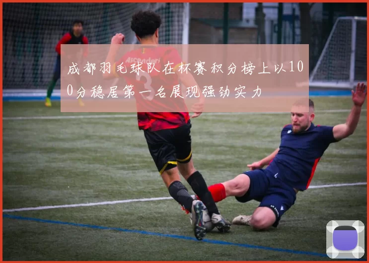 成都羽毛球队在杯赛积分榜上以100分稳居第一名展现强劲实力