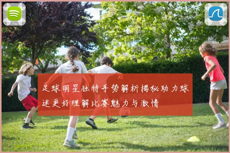 足球明星独特手势解析揭秘助力球迷更好理解比赛魅力与激情