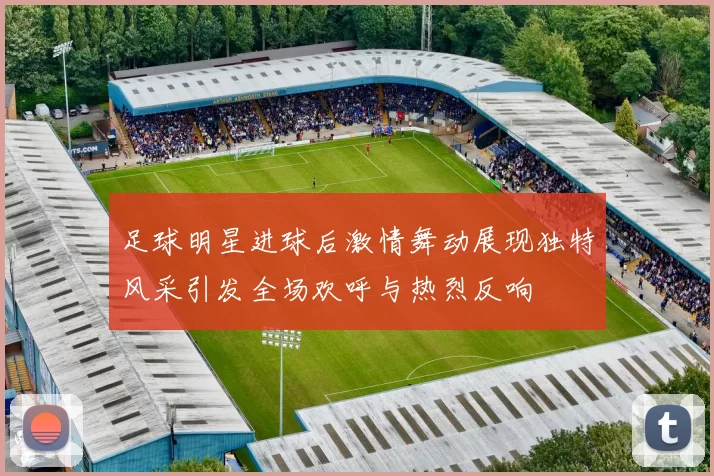 足球明星进球后激情舞动展现独特风采引发全场欢呼与热烈反响