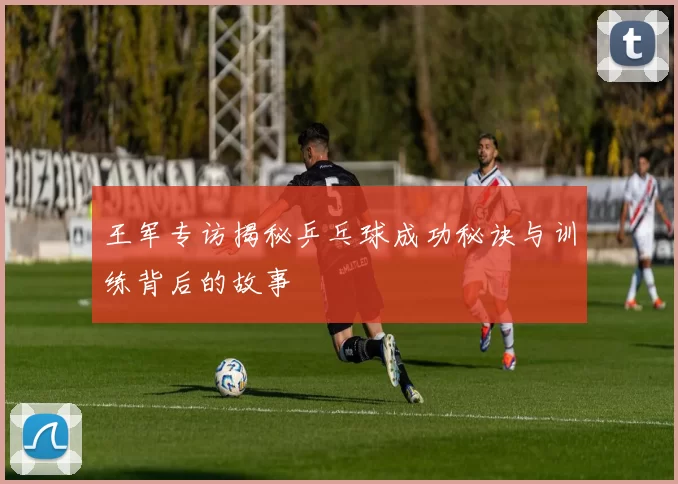 王军专访揭秘乒乓球成功秘诀与训练背后的故事