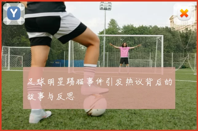 足球明星踢猫事件引发热议背后的故事与反思