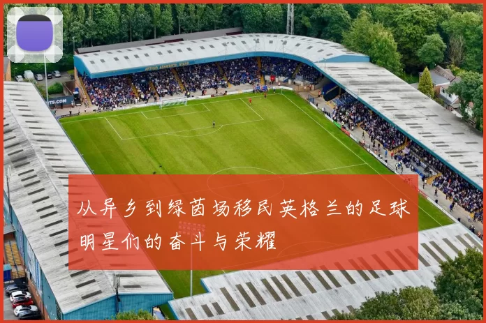 从异乡到绿茵场移民英格兰的足球明星们的奋斗与荣耀
