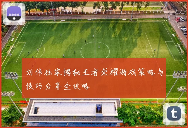 刘伟独家揭秘王者荣耀游戏策略与技巧分享全攻略