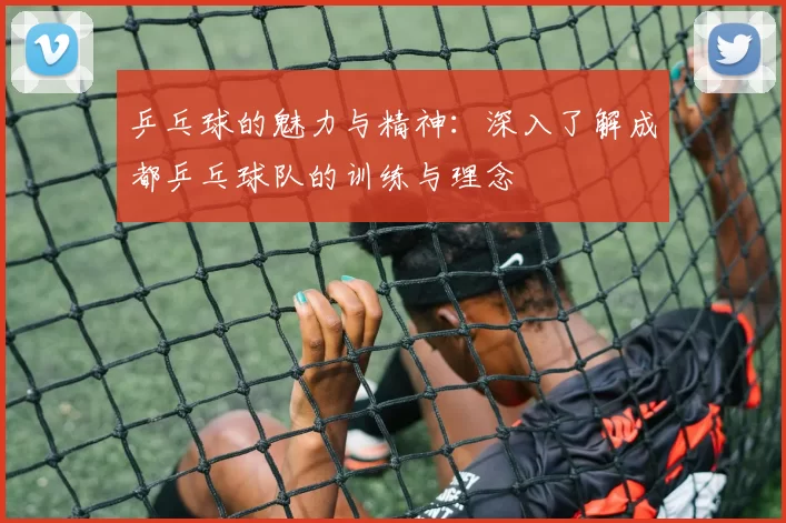 乒乓球的魅力与精神：深入了解成都乒乓球队的训练与理念