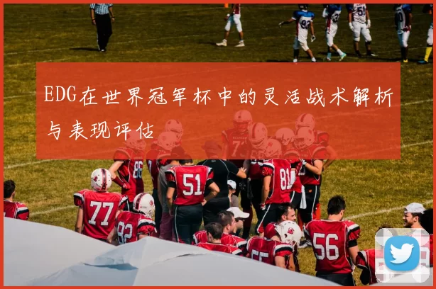 EDG在世界冠军杯中的灵活战术解析与表现评估