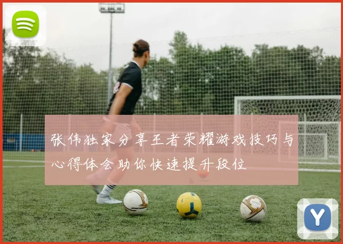 张伟独家分享王者荣耀游戏技巧与心得体会助你快速提升段位