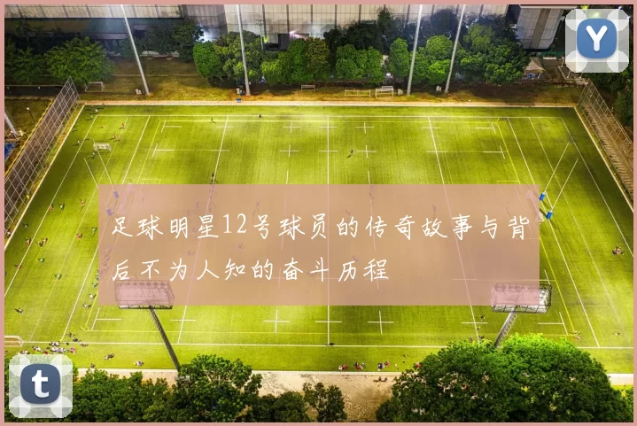 足球明星12号球员的传奇故事与背后不为人知的奋斗历程