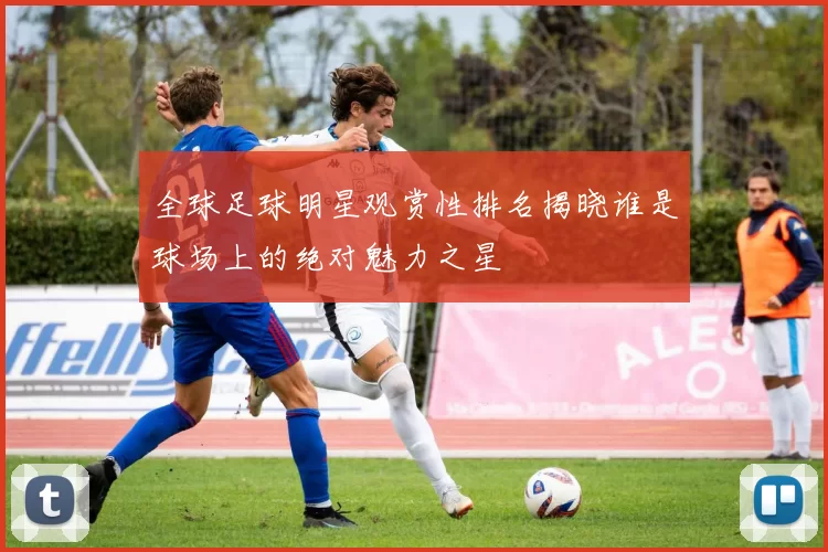 全球足球明星观赏性排名揭晓谁是球场上的绝对魅力之星