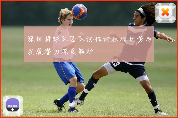 深圳排球队团队协作的独特优势与发展潜力深度解析