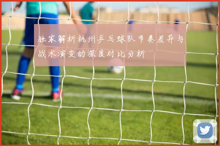 独家解析杭州乒乓球队节奏差异与战术演变的深度对比分析