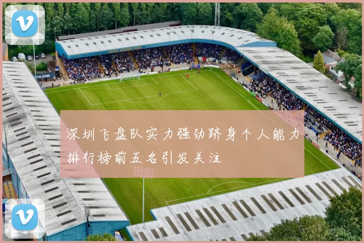 深圳飞盘队实力强劲跻身个人能力排行榜前五名引发关注