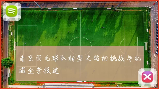 南京羽毛球队转型之路的挑战与机遇全景报道